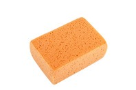 Bilde av: Svamp orange