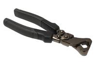 Bilde av: Bihui Flisetang